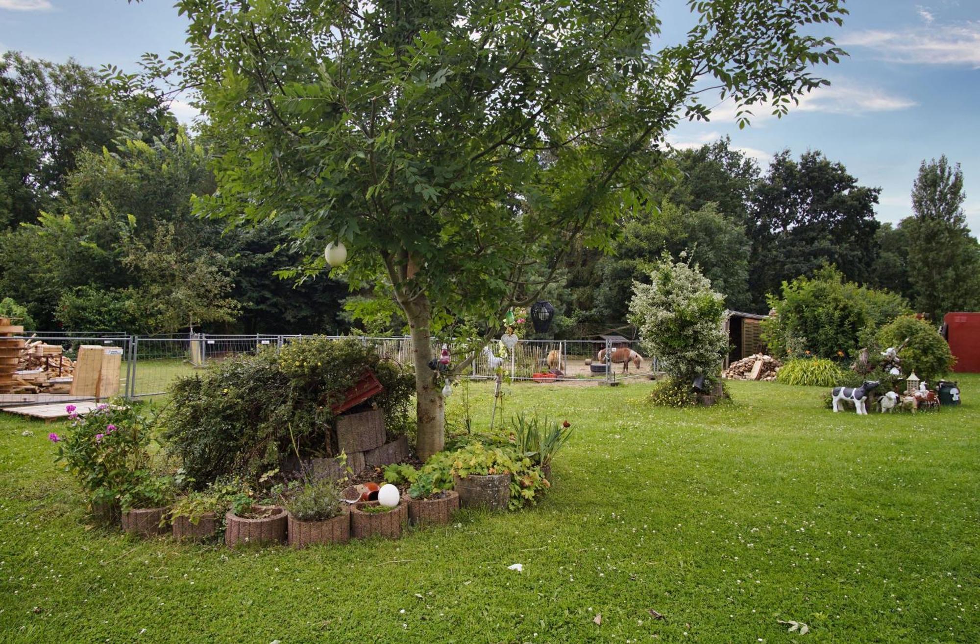 F-1109 Ferienwohnung Am Stadtrand Bergen Auf Rugen Exterior foto